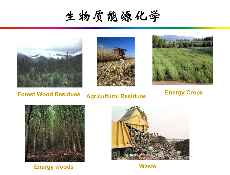 生物质能源利用现状与未来趋势